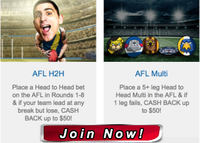 AFL Round 6 Footy Tips best online betting site